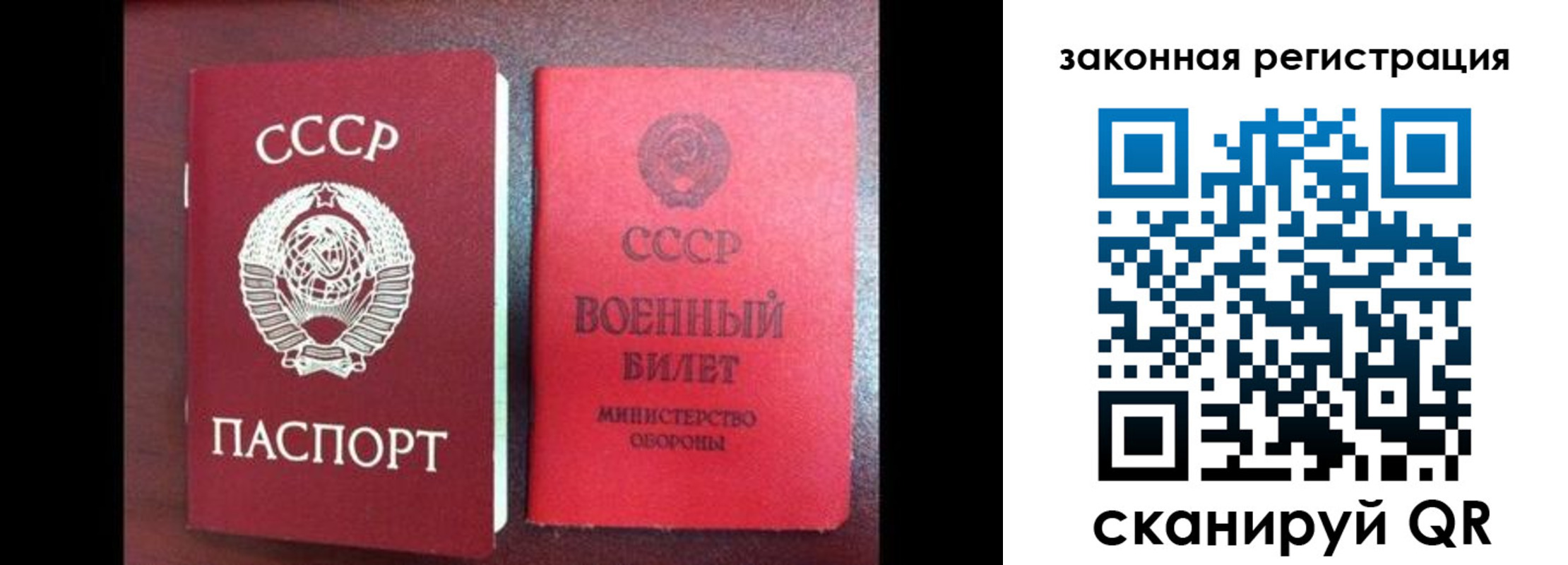 временная прописка в Камышине