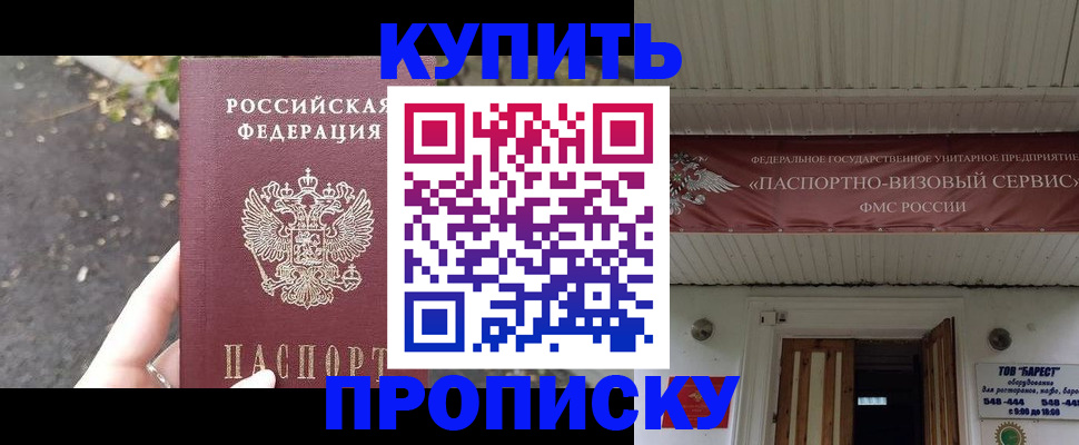 где прописаться в Камышине